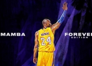 金年会网站-跨界烽烟，当欧冠决赛上演尼克斯式终结猛龙悬念