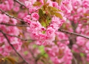 金年会平台-亚特兰大老鹰硬仗取胜雷霆，NBA季后赛焦点战彰显团队韧性