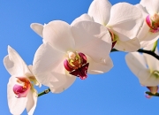 金年会体育-阿克！欧冠夜的关键先生