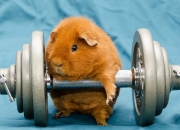 金年会-阿尔瓦雷斯绝杀救主！希腊加时险胜瑞典晋级