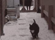 金年会下载-冰与火之歌，当森林狼的狂潮吞没雷霆，谁才是真正的关键先生？