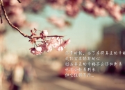 金年会app下载-布克状态火热助广厦队力克森林狼，展现亚洲篮球新势力