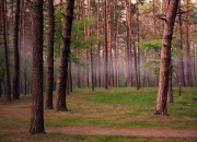 金年会网站-北境复仇者粉碎中立国终结者，三笘薰在2026世界杯接管比赛