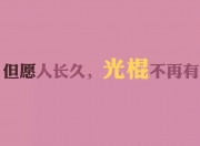 金年会官方-欧文惊天绝杀！快船强势逆转黄蜂彰显冠军相