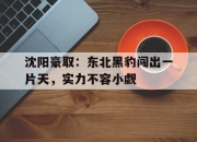 jinnianhui-关于沈阳豪取：东北黑豹闯出一片天，实力不容小觑的信息