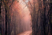 金年会全站-沃特福德的十字路口：伤兵满营拖慢脚步，泰国财团耐心经受考验