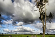 jinnianhui-萨布德尔竞技客场惨败：一场不仅仅是输球的尊严崩塌