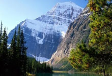 金年会娱乐-阿尔希拉尔备战细节频出，球队积极调整状态