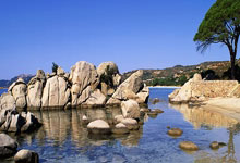 金年会-卡尔蒂斯新星爆发，挑战利物浦防线坚固