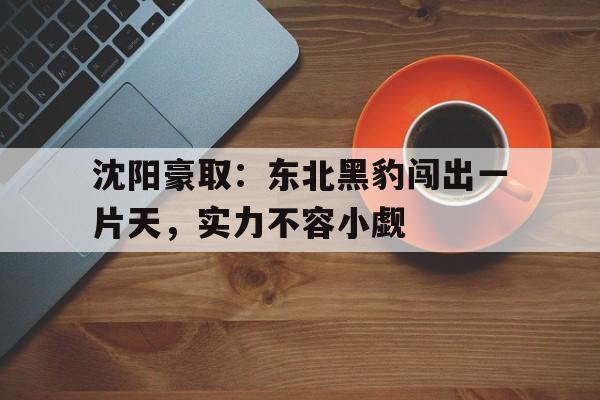 关于沈阳豪取:东北黑豹闯出一片天,实力不容小觑的信息 关于沈阳豪取:东北黑豹闯出一片天,实力不容小觑的信息