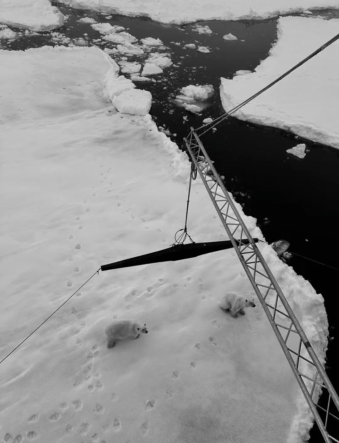 格林兰队遭遇败仗,无法闯入欧国联四强的简单介绍 格林兰队遭遇败仗,无法闯入欧国联四强的简单介绍