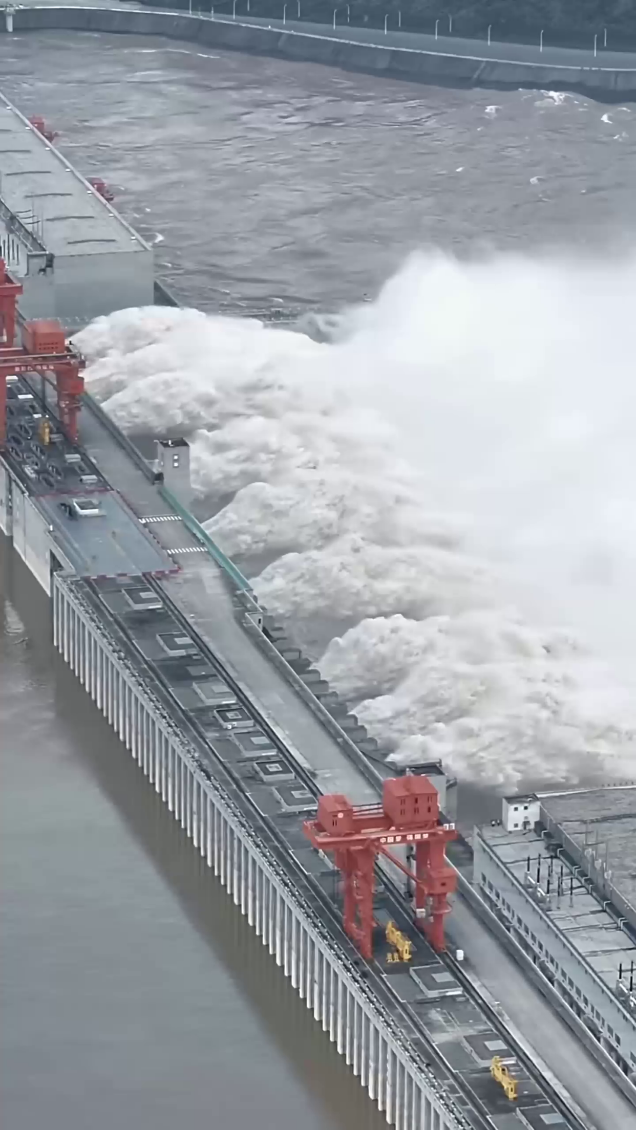 排山倒海的气势:选手破釜沉舟势不可挡的简单介绍 排山倒海的气势:选手破釜沉舟势不可挡的简单介绍