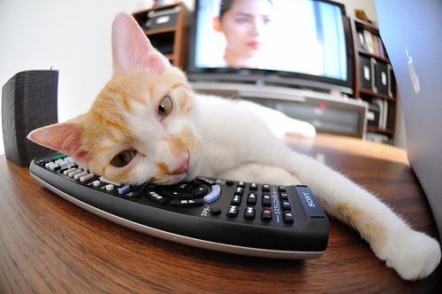 末节风暴!英格拉姆化身关键先生,开拓者绝境中带走胜利