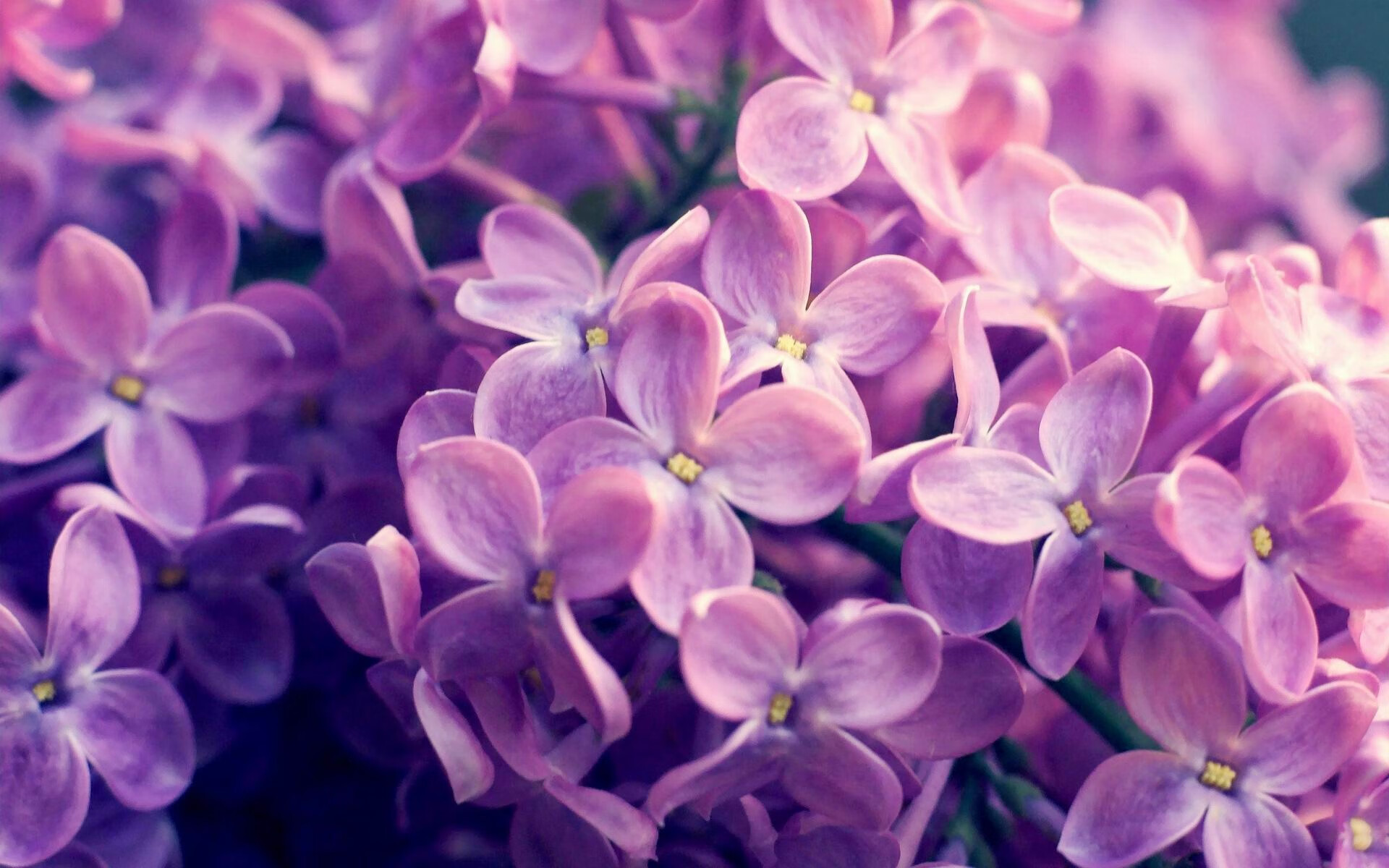 法国对阵马里，萨拉赫与大场面先生的足球交响曲