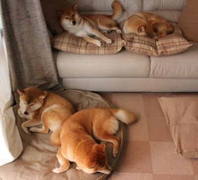 特奥独舞引爆球场,巴拉圭单节风暴击溃挪威