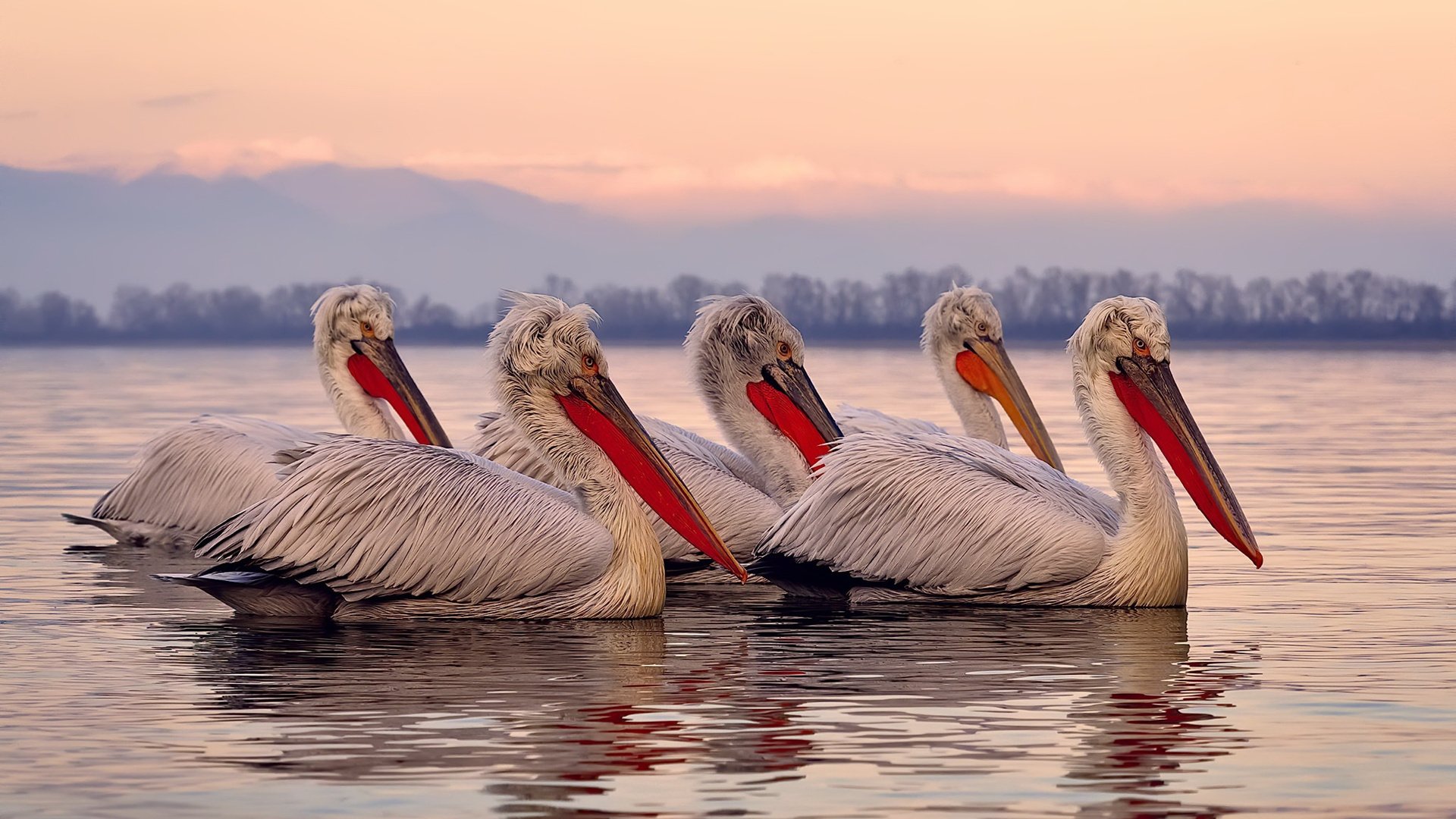 攻克北岸花园，詹姆斯的自我救赎之战