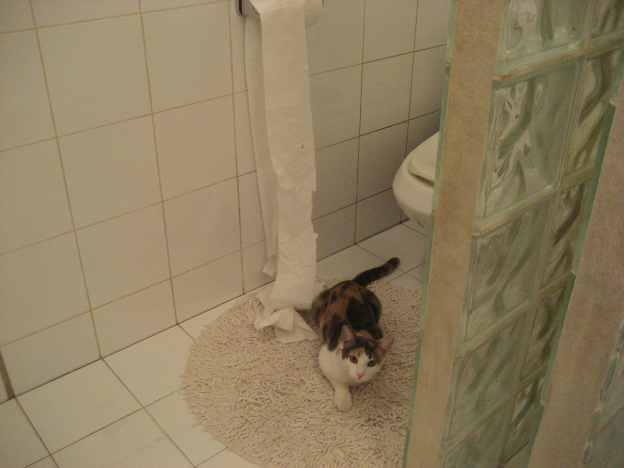 阿克!欧冠夜的关键先生