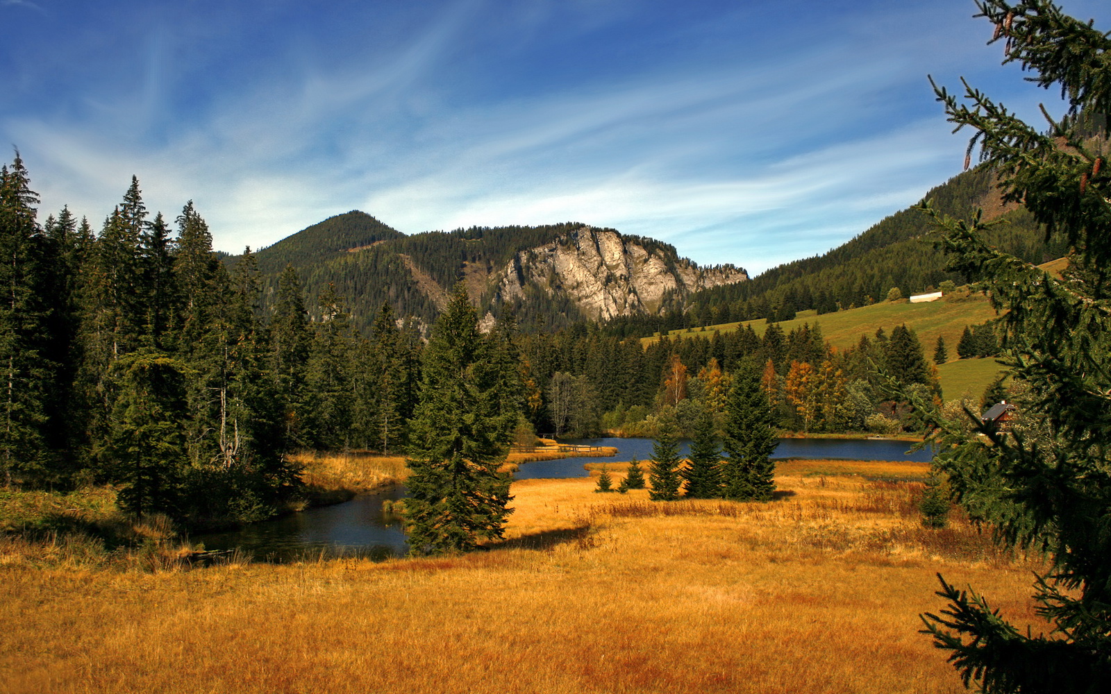 单节定乾坤与王者降临，从新疆队的团队风暴到锡安的个人霸权